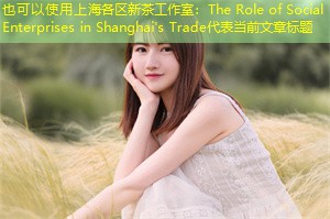 The Role of Social Enterprises in Shanghai's Trade The Role of Social Enterprises in Shanghai's Trade